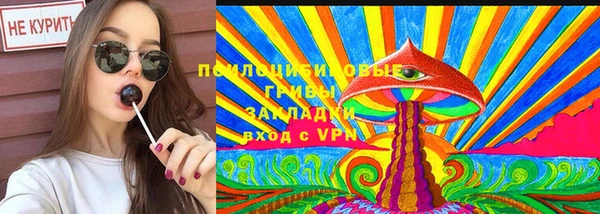 соль ск Балахна
