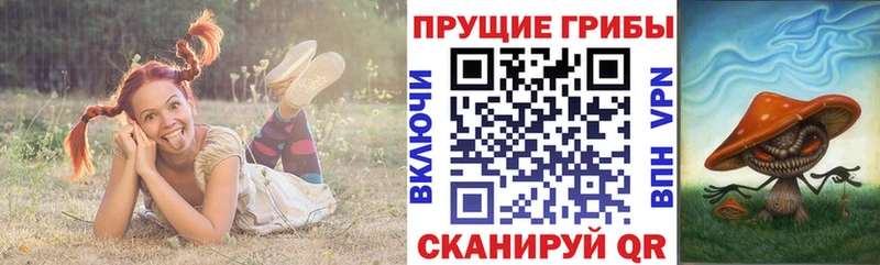 Галлюциногенные грибы MAGIC MUSHROOMS  даркнет сайт  Туран 